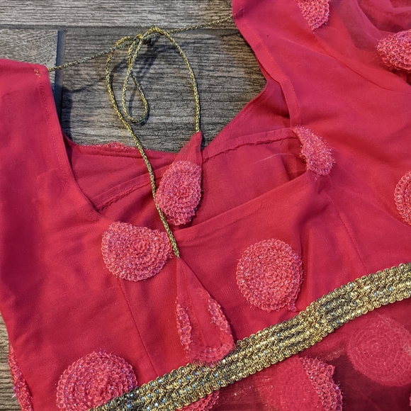 Stunning Lehenga! - Picture 9 of 11